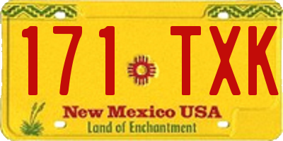 NM license plate 171TXK