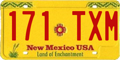NM license plate 171TXM