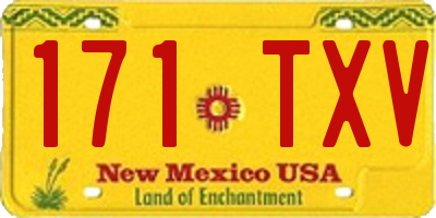 NM license plate 171TXV