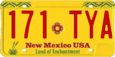 NM license plate 171TYA