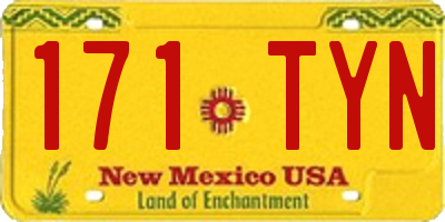 NM license plate 171TYN