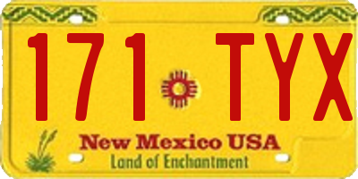 NM license plate 171TYX