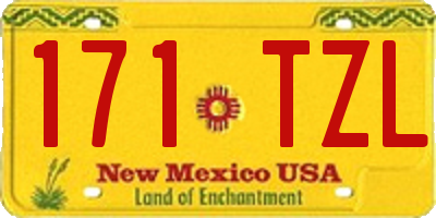 NM license plate 171TZL