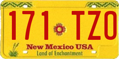 NM license plate 171TZO