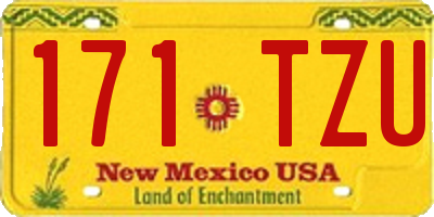 NM license plate 171TZU