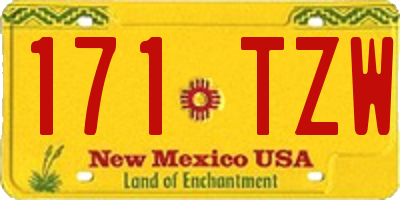 NM license plate 171TZW