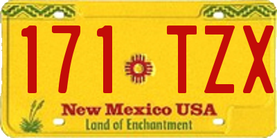 NM license plate 171TZX