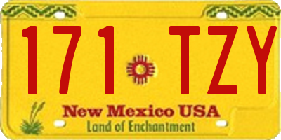 NM license plate 171TZY