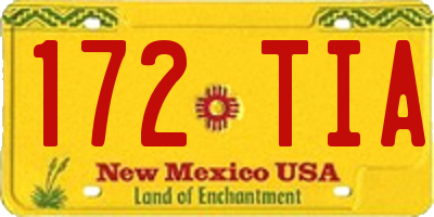 NM license plate 172TIA