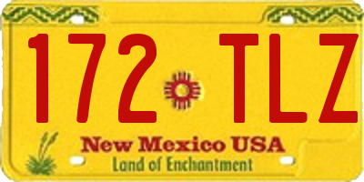 NM license plate 172TLZ