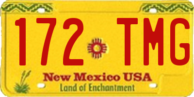 NM license plate 172TMG