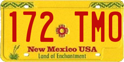 NM license plate 172TMO