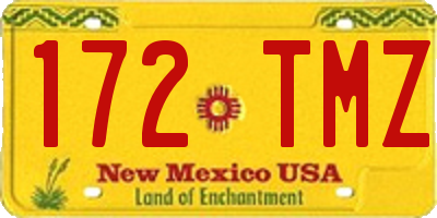 NM license plate 172TMZ