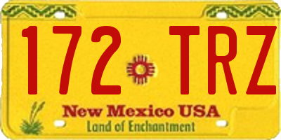 NM license plate 172TRZ