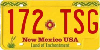 NM license plate 172TSG
