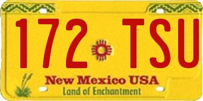 NM license plate 172TSU