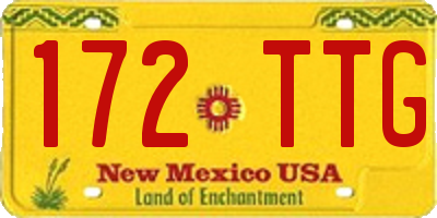 NM license plate 172TTG
