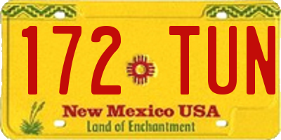 NM license plate 172TUN