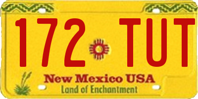 NM license plate 172TUT