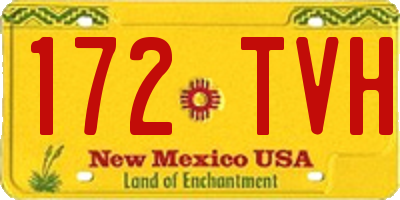 NM license plate 172TVH