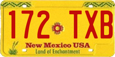 NM license plate 172TXB