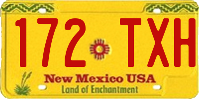 NM license plate 172TXH