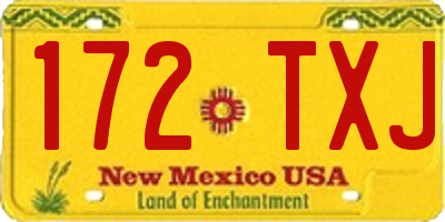NM license plate 172TXJ