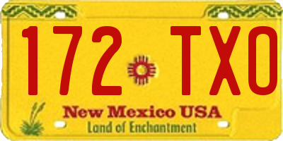 NM license plate 172TXO