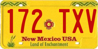 NM license plate 172TXV