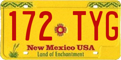 NM license plate 172TYG
