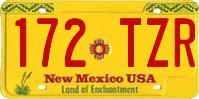 NM license plate 172TZR