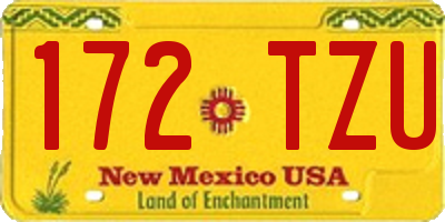 NM license plate 172TZU