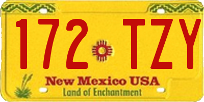 NM license plate 172TZY