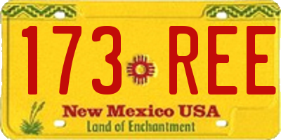 NM license plate 173REE