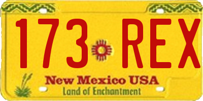 NM license plate 173REX