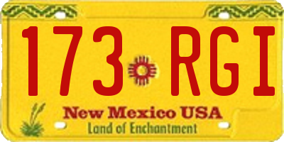 NM license plate 173RGI