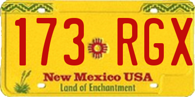 NM license plate 173RGX