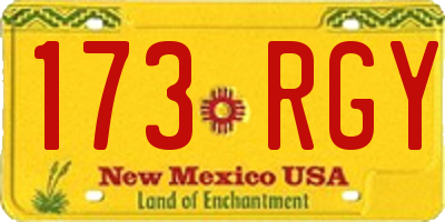 NM license plate 173RGY