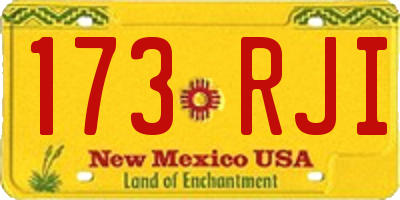 NM license plate 173RJI