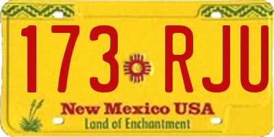 NM license plate 173RJU