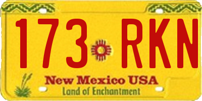 NM license plate 173RKN