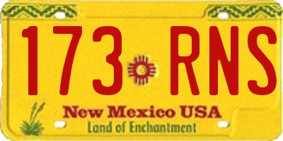 NM license plate 173RNS