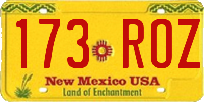NM license plate 173ROZ