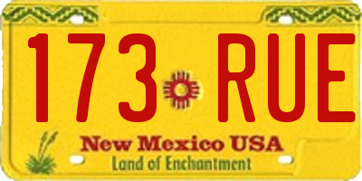 NM license plate 173RUE