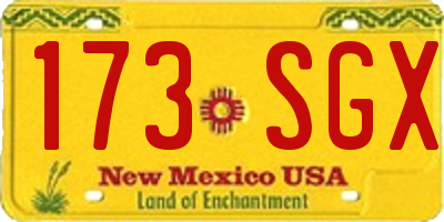 NM license plate 173SGX