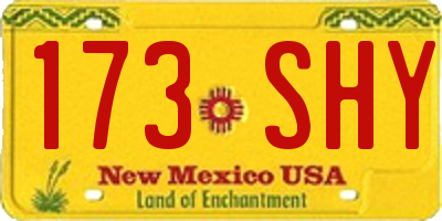 NM license plate 173SHY