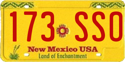 NM license plate 173SSO