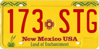NM license plate 173STG