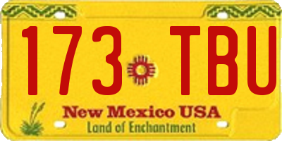 NM license plate 173TBU