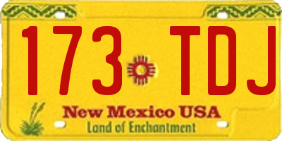 NM license plate 173TDJ